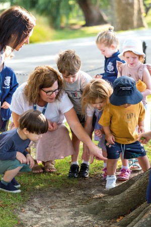 Tamariki and staff look at the bottom of a tree.